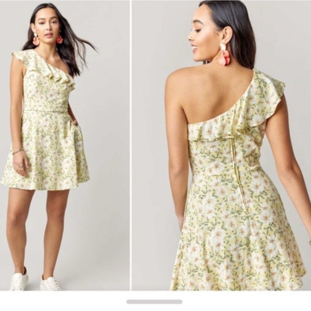 Francesca’s Slone Floral One Shoulder Ruffle Mini Dress Linen Blend Size Small